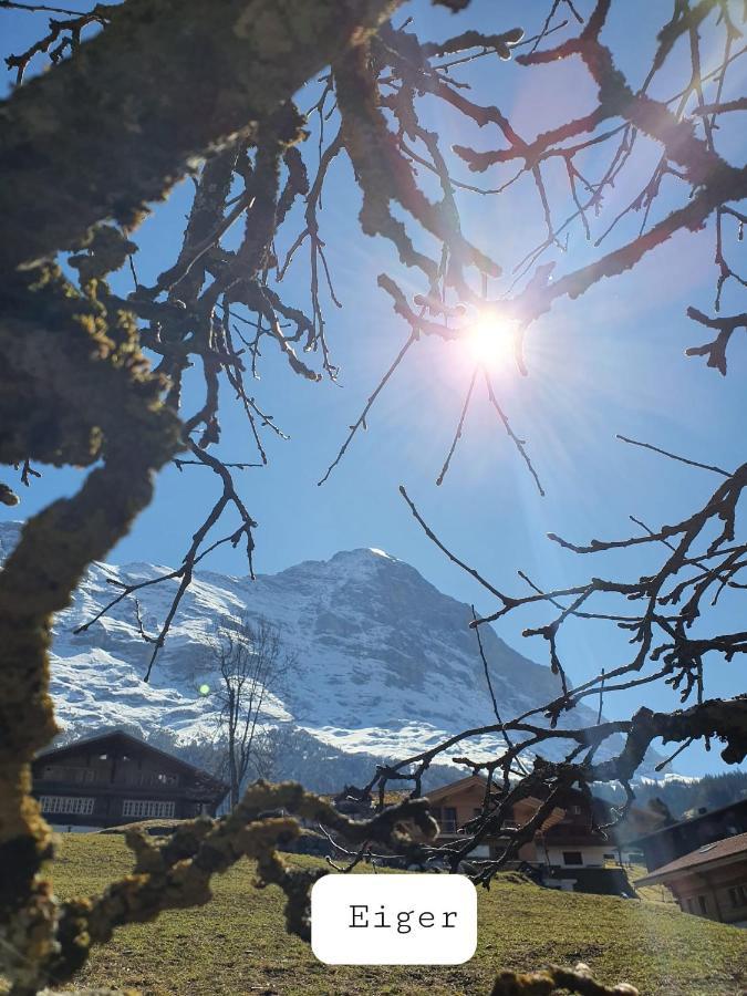 Apartment Lilalama Grindelwald Exteriér fotografie