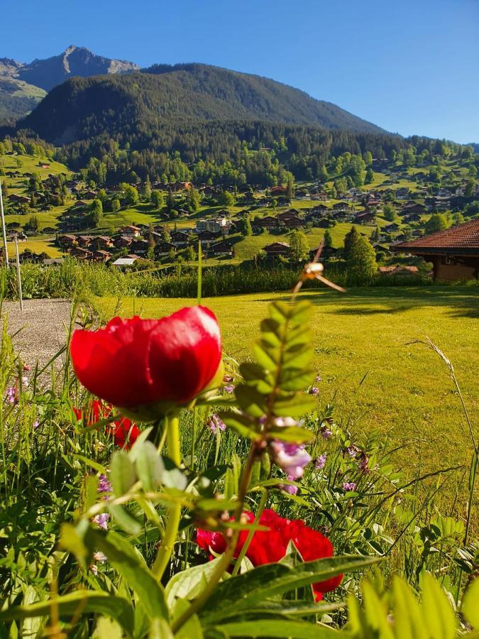 Apartment Lilalama Grindelwald Exteriér fotografie